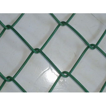 Green color PVC coated chain link fence mesh